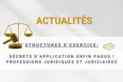 Structures d’exercice des professions juridiques et judiciaires : les décrets sont publiés